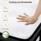 Materasso Scontato Queen Medium da 14 pollici in Scatola Bianco